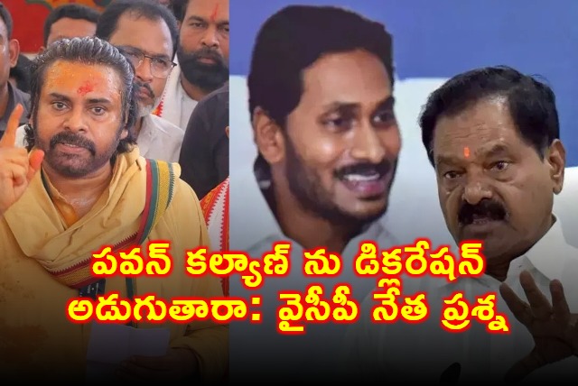 AP Former Dy CM Narayana Swamy Sensational Comments On Dy CM Pawan Kalyan