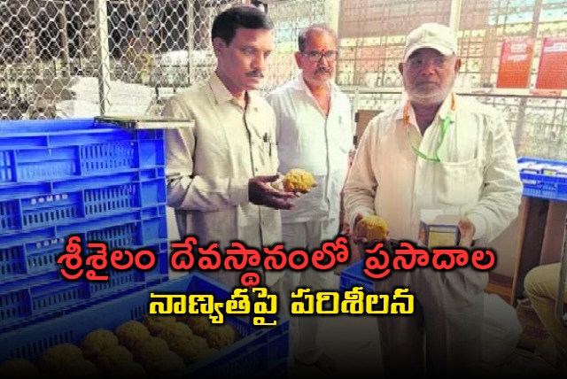 Srisilam temple prasadama testing