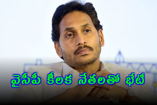 YS Jagan Meet YSRCP Key Leaders