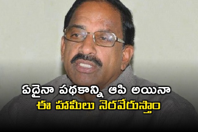 Tummala Nageswara Rao says will fullfill all promises