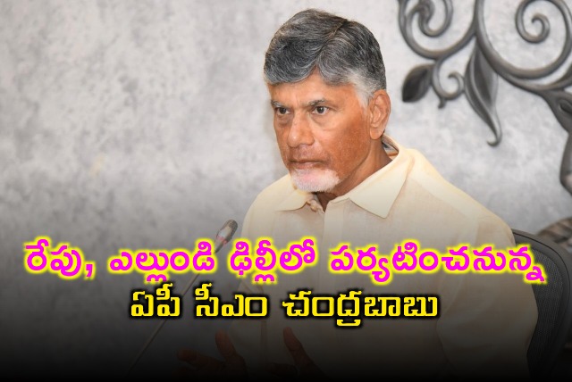 AP CM Chandrababu goes to Delhi for two day visit