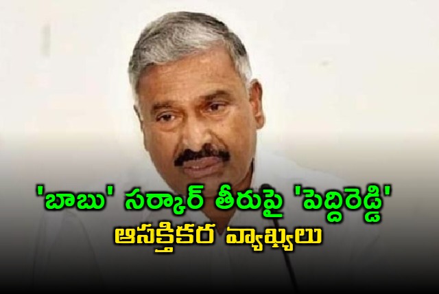 Peddireddy Ramachandra Reddy Interesting Comments on govt