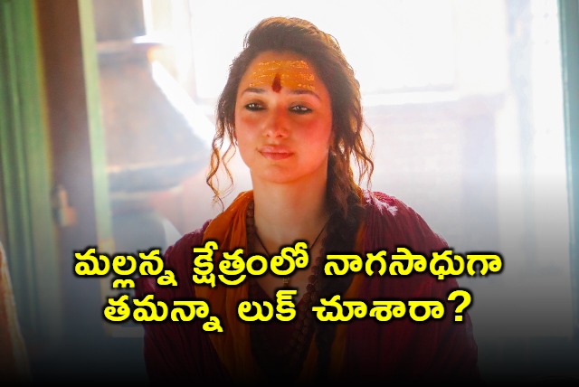 Have you seen Tamannaahs look as Nagasadhu in Mallanna Kshetra