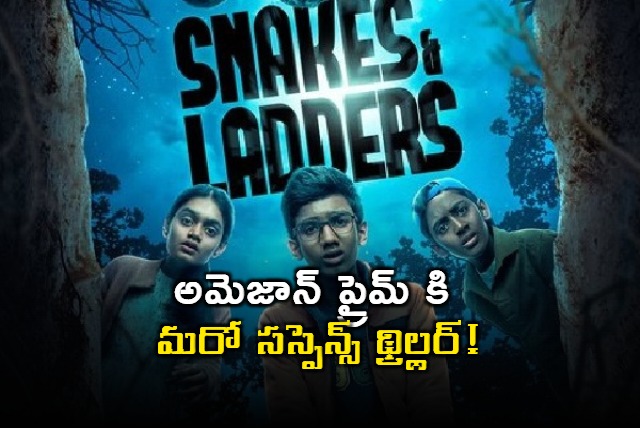 Snake And Laddeers Series 