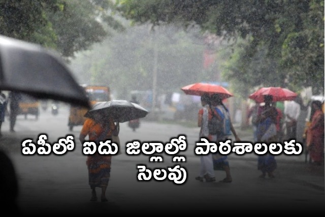 Schools in 5 districts of AP closed due to rains