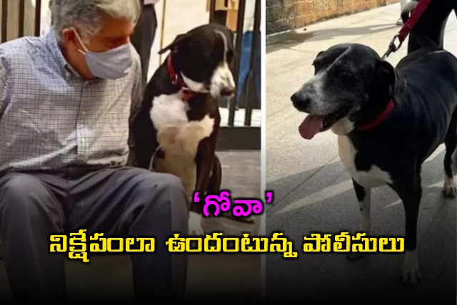 Is Ratan Tata Pet Dog Goa Dead