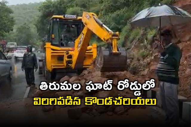 landslides on tirumalaghat road