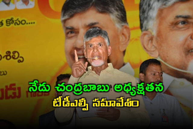 cm chandrababu to hold tdlp meeting today