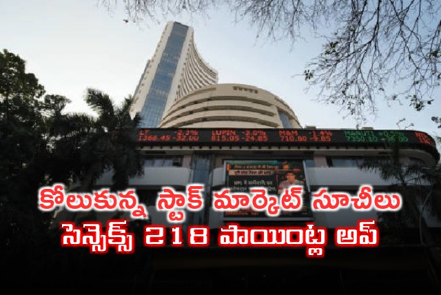 Indian stock market indics ended in green