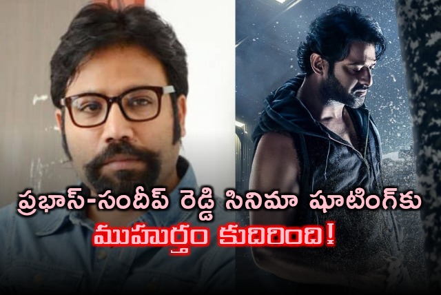 The shooting of Prabhas Sandeep Reddys Vanga movie has arrived