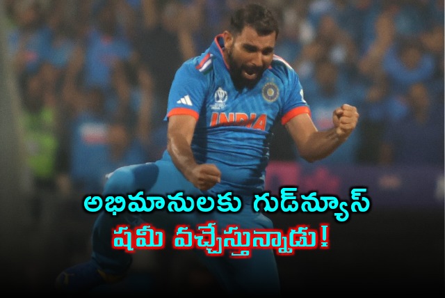 100 Per Cent Pain Free Mohammed Shami Sends Massive Message Amid Injury Concerns