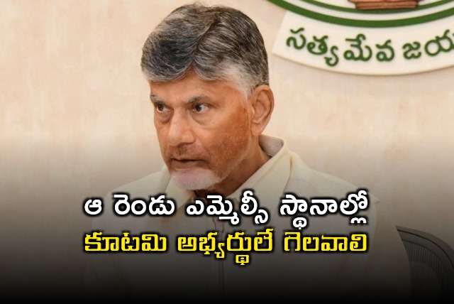 CM Chandrababu held tele conference with four distreicts TDP leaders 