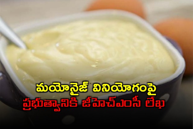 ghmc written letter to government on ban mayonnaise