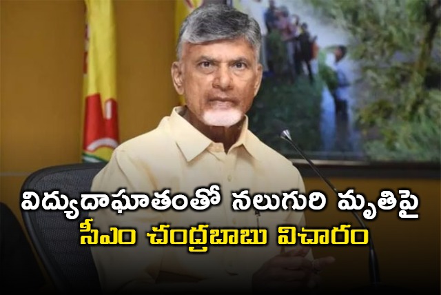 Chandrababu on Electric Shock Incident in Undarajavaram