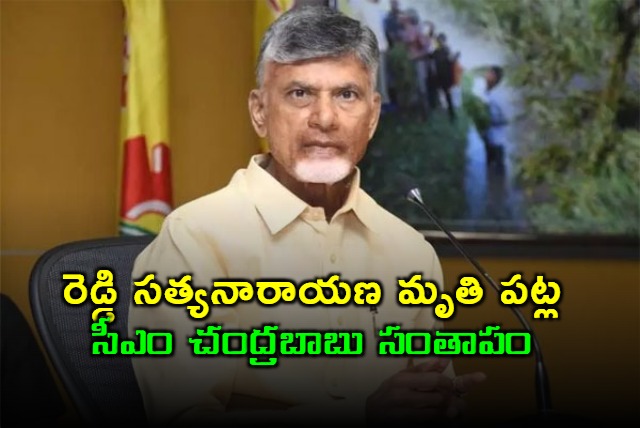 CM Chandrababu Naidu Pay Tributes to Reddy Sathyanarayana  